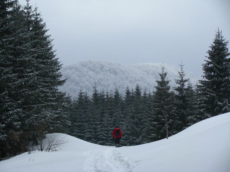 20.jpg - povratak