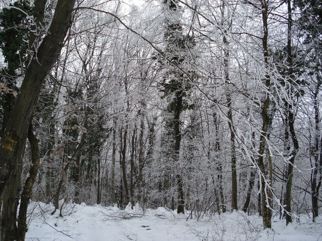01.JPG - MARKACIJA RAVNO