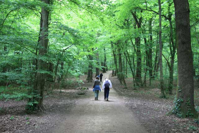 05.jpg - u potragu 1