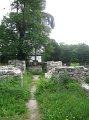 IMG_0559