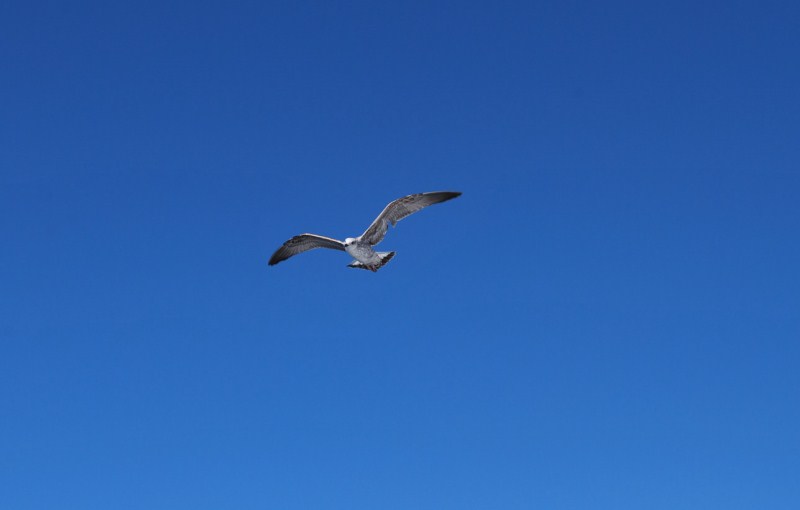 DSC_0026.JPG