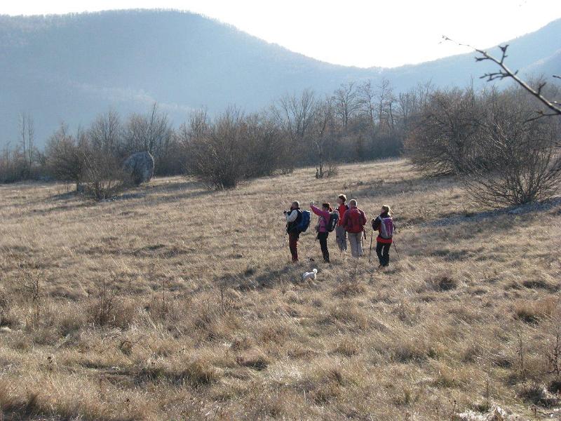 Sto-to-oni-gledaju.jpg