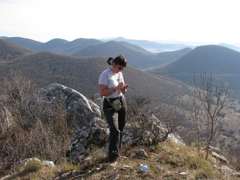 Zapisnicar-i-upisna-flasa-na-Komicu.jpg
