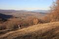 Komicko-polje