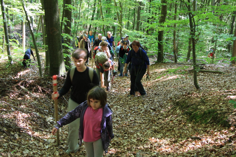 Plivina_staza-omladina-i-ostali.JPG