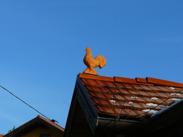 kokot.jpg - Kokot na klijeti