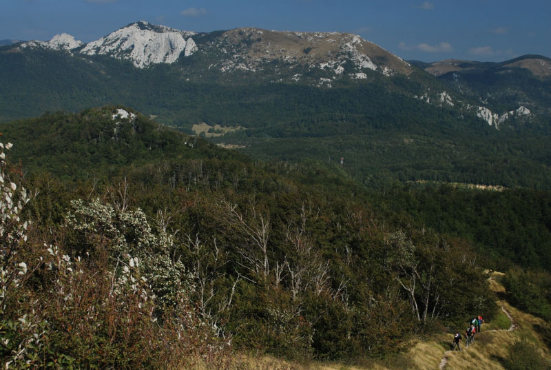 pogled-na-Ljubicko-brdo.JPG