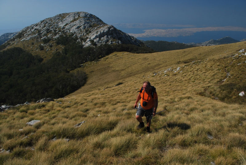 polako-i-sigurno.JPG