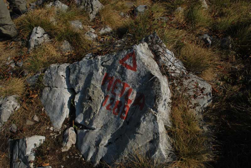vrh-Metle.JPG