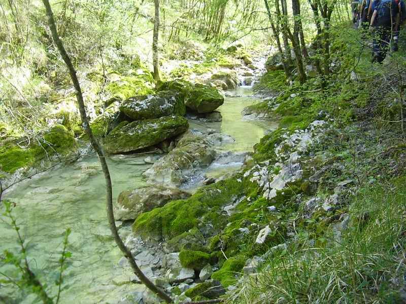 I-dno-potoka-je-bijelo.JPG