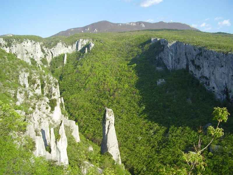 Vela-Draga-drugi-put.JPG