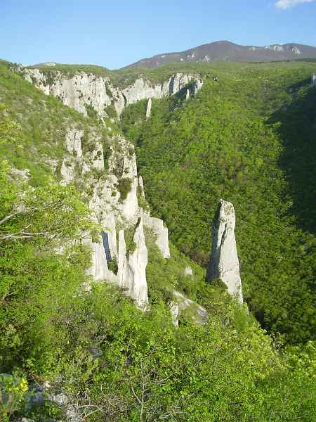 Vela-Draga-na-povratku-za-Zagreb.JPG