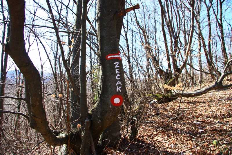 na-dobrom-smo-tragu.jpg