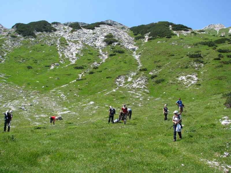Bralo-se-i-ljekovito-bilje.jpg