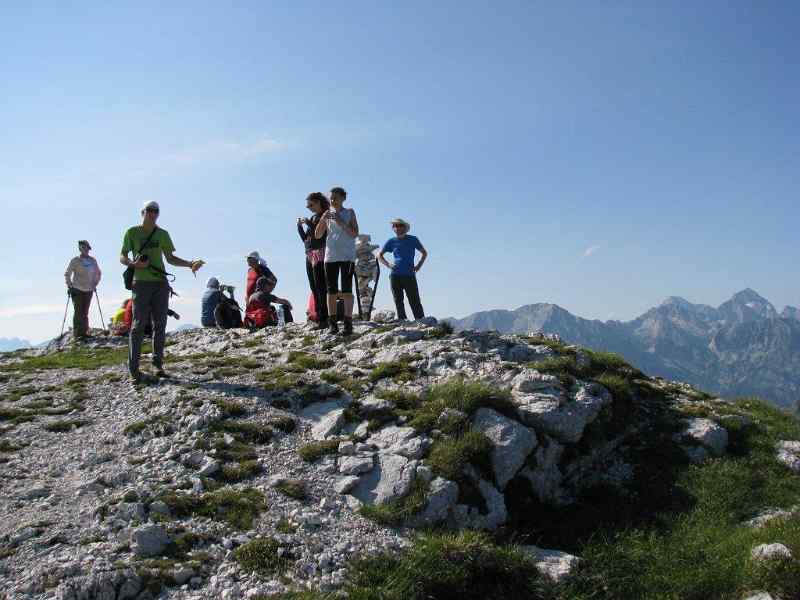 Lanzevica-vrh.jpg