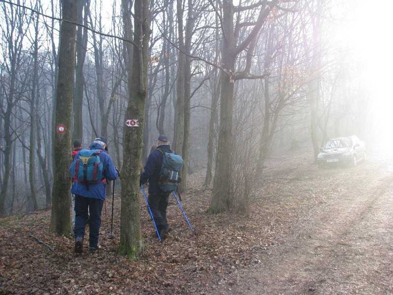 4.jpg - Prema Vinici