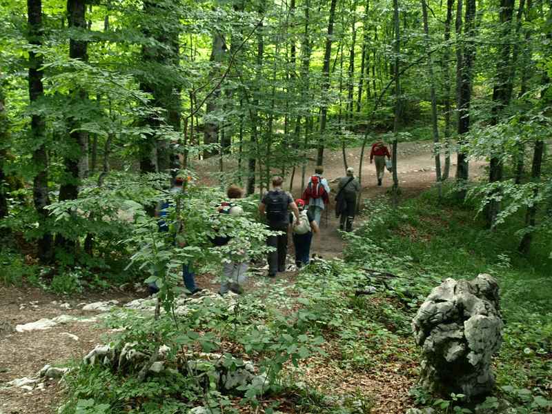 Na-putu-za-stazu-Plitvica.JPG