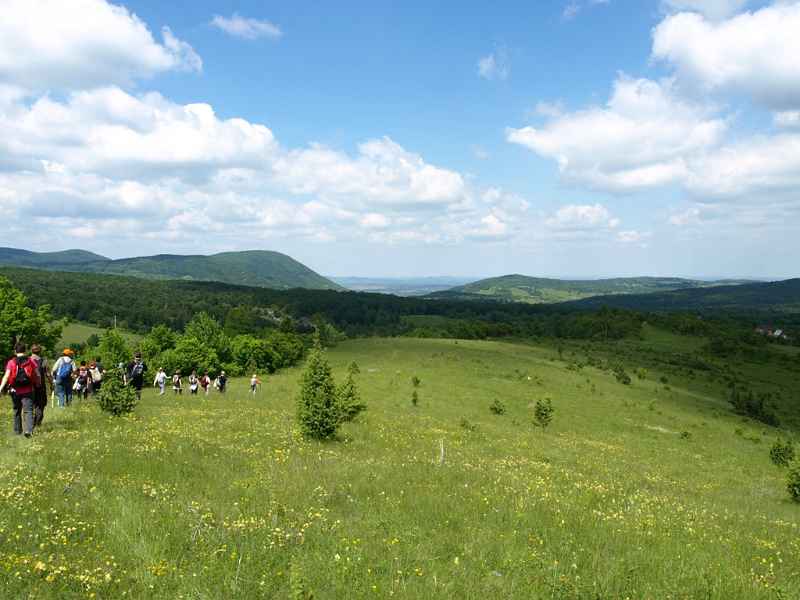Pogled-u-daljinu.JPG