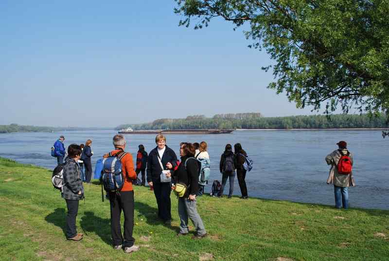 Aljmas-i-Dunav.JPG
