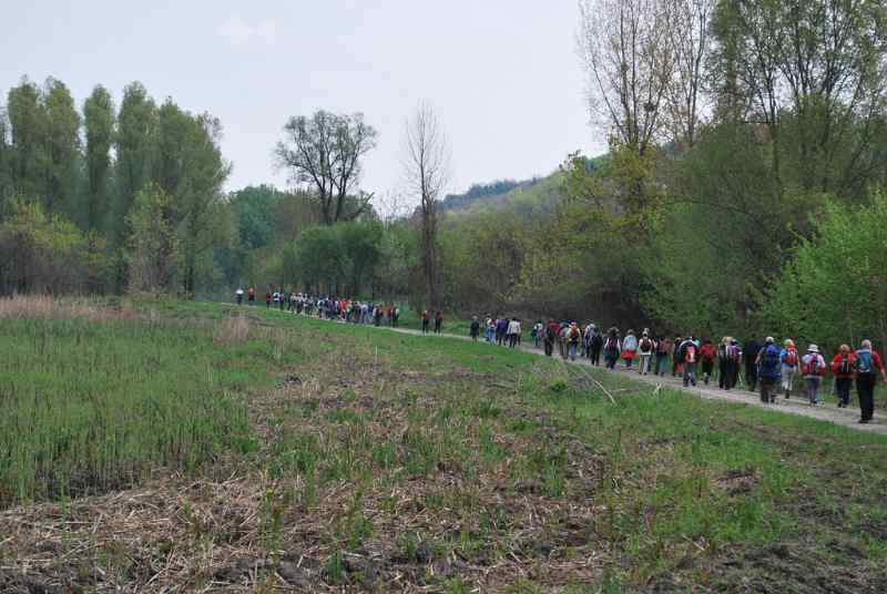 Kolona-Aljmas-Erdut.JPG