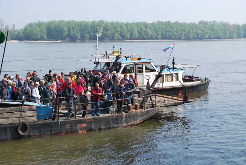 Planinare-plove-Dunavom.JPG