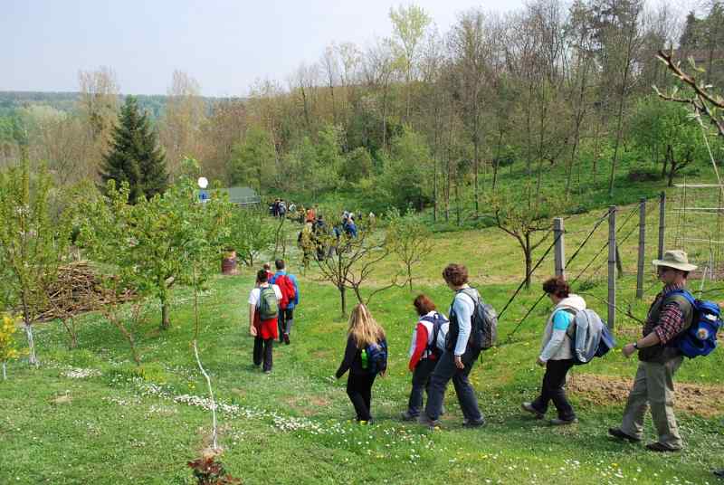 Pocetak-pohoda-Aljmas-Erdut.JPG