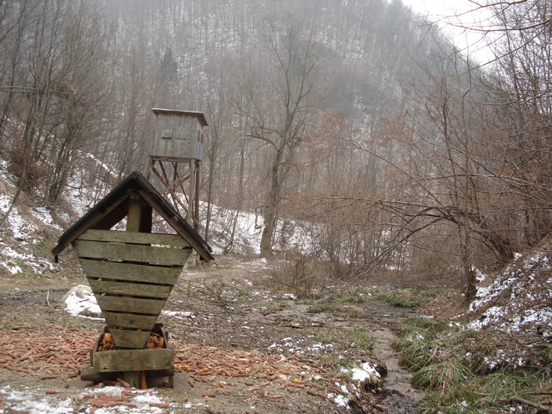 Lovci-lovci.JPG