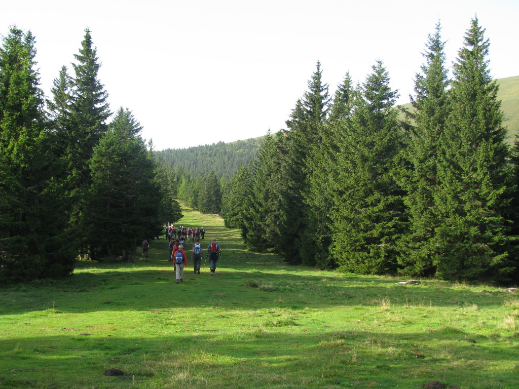 ponovo-u-pokretu.jpg