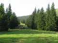 ponovo-u-pokretu