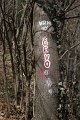 jos-malo