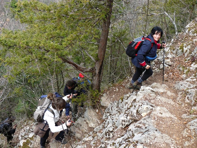 odlucno-uz-stube.JPG - plivaši idu odlučno uz horvatove stube