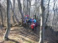 Kamen-Ljudevita-Gaja