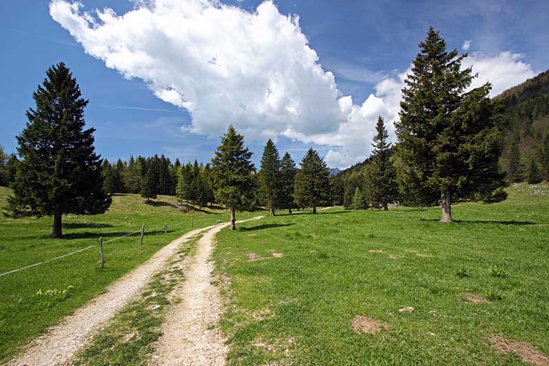 Planina-Dol.JPG