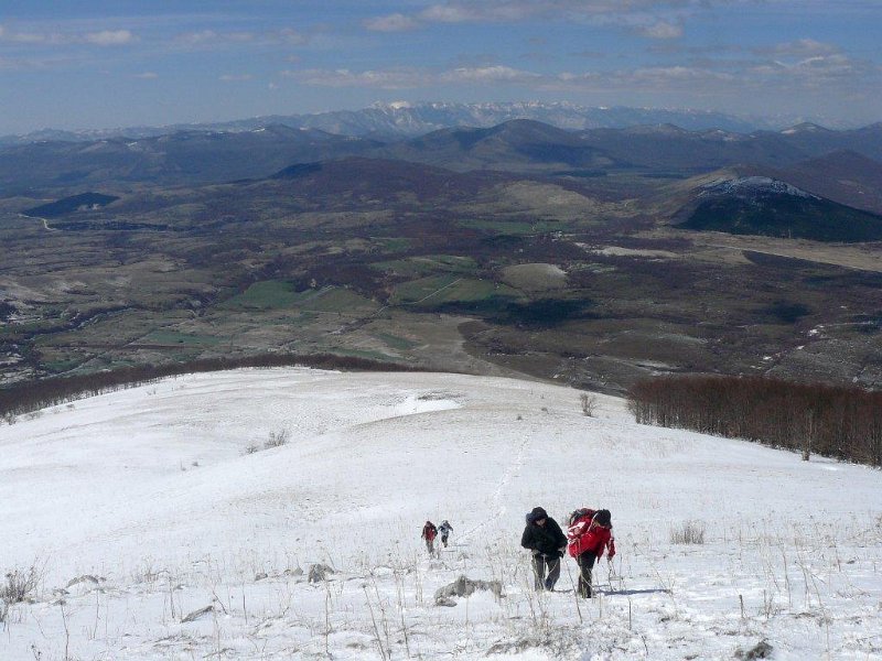 Upri.jpg