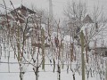 Idemo-doma