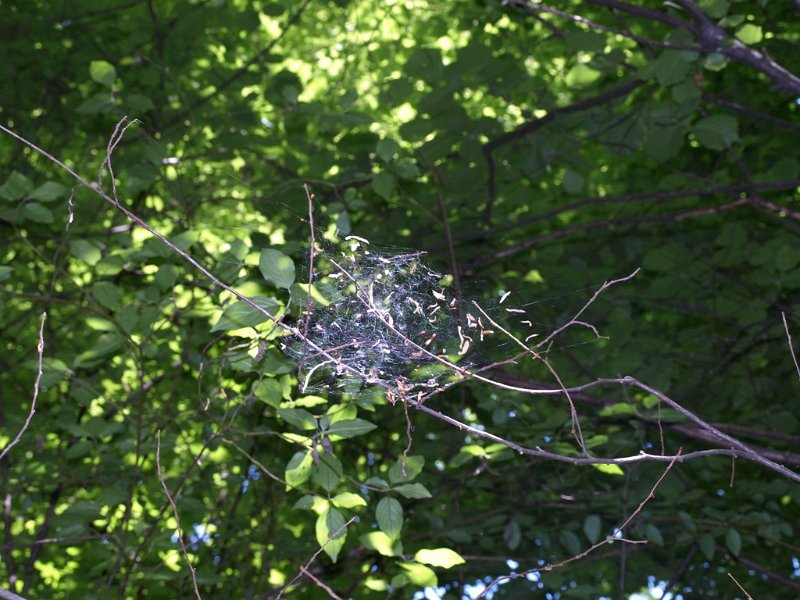 dobro_da_nismo_muhe.JPG - Dobro da nismo muhe