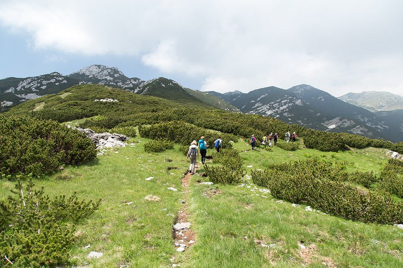 5.jpg - Vaganski vrh