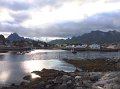 IMG_2246