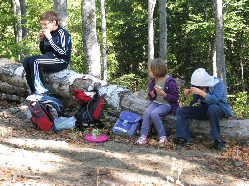 Medvednica-Brestovac-najmladi-su-ogladnili.jpg