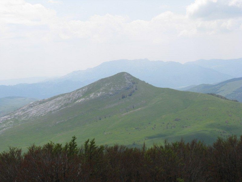 IMG_8422.jpg