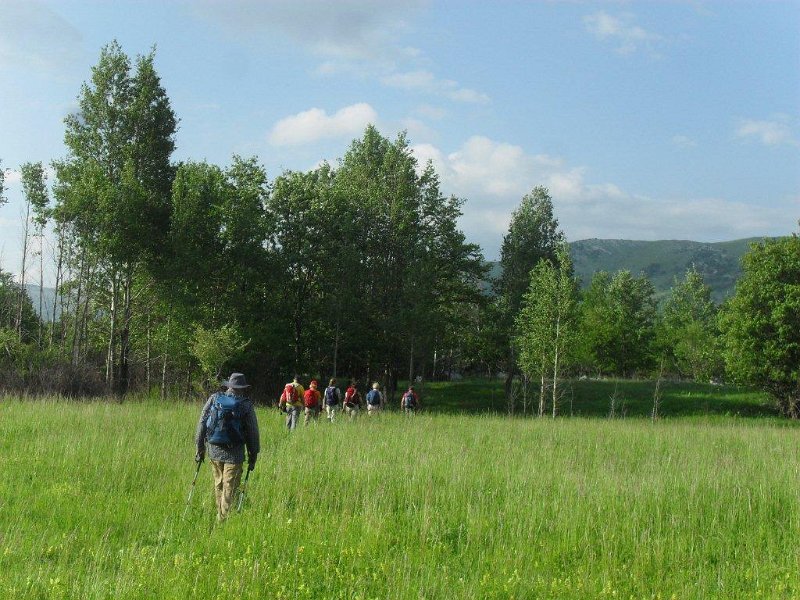 SDC13567.jpg