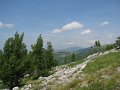 IMG_8376