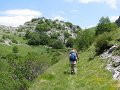 IMG_8377