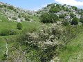 IMG_8379