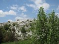 IMG_8390