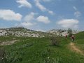 IMG_8395