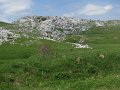 IMG_8396