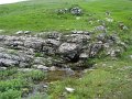 IMG_8400