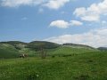 IMG_8407