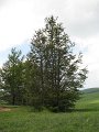 IMG_8410